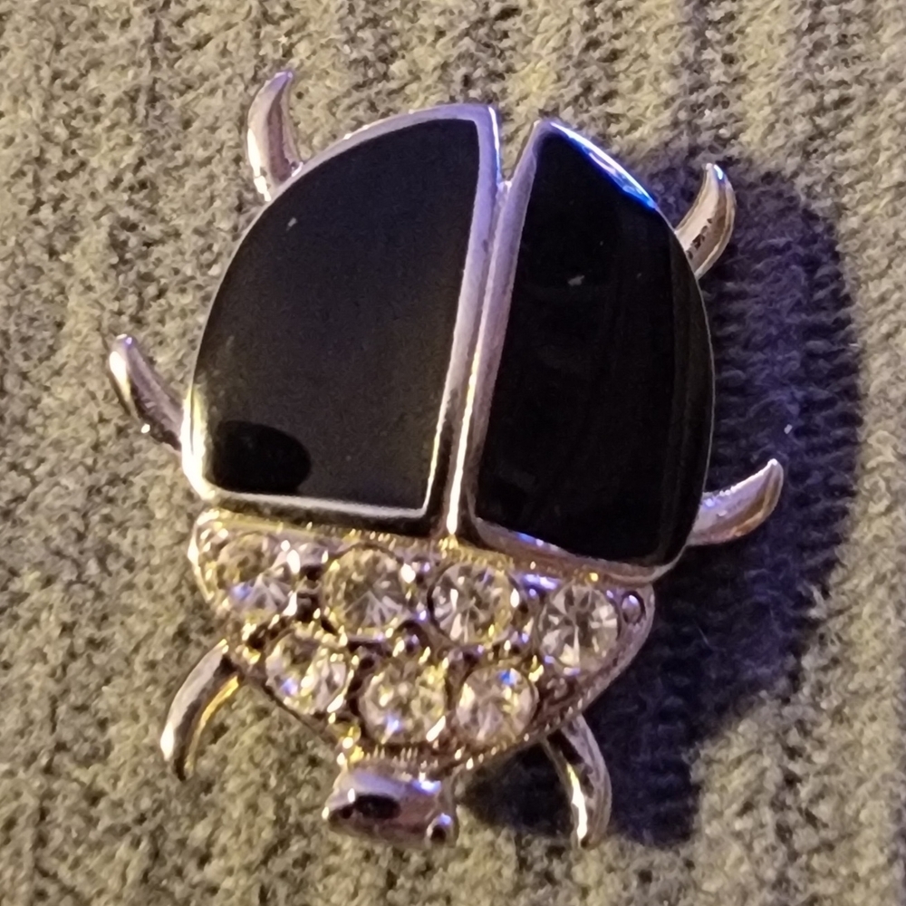 Black and Silver Beetle Brooch